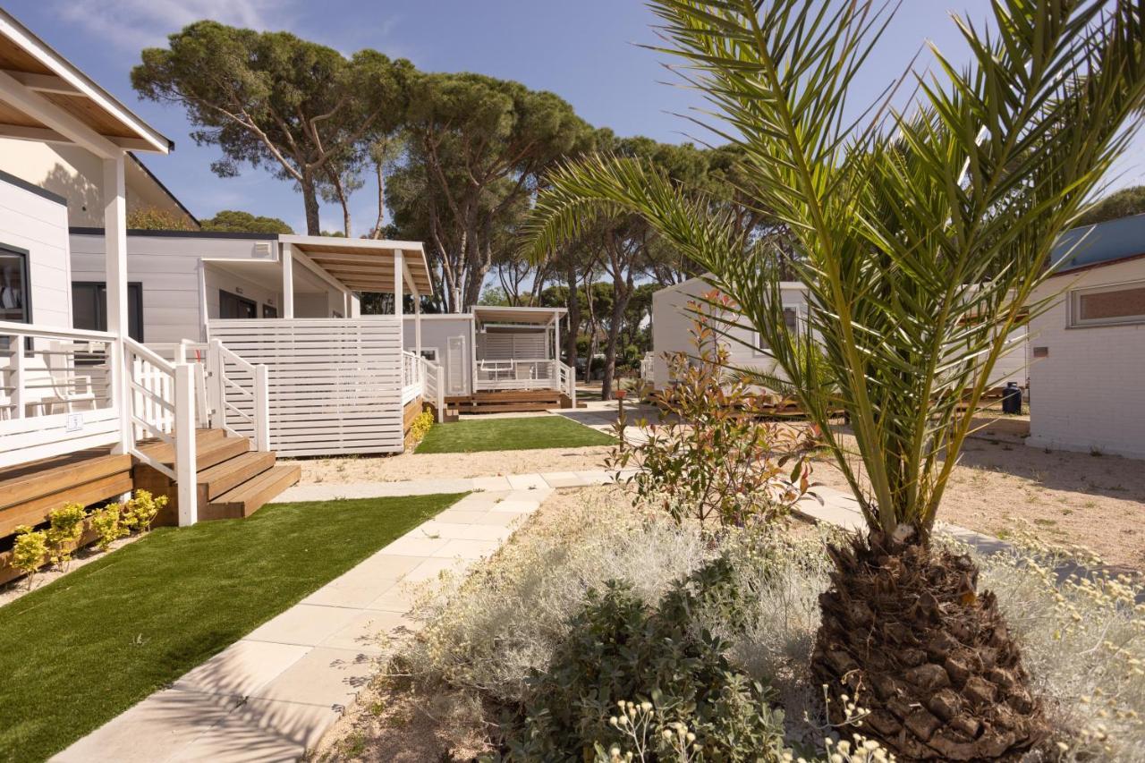 Anxur Village Camping Terracina Eksteriør billede