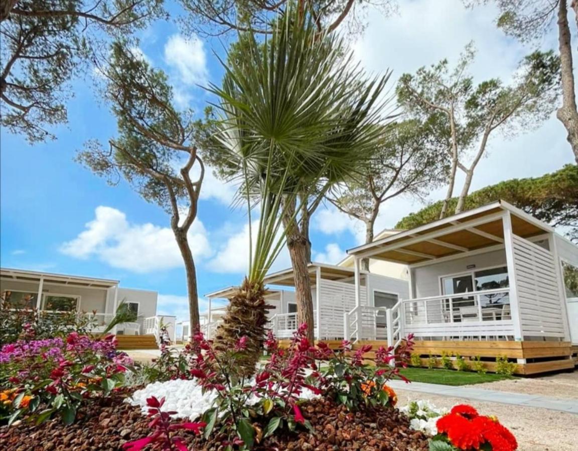 Anxur Village Camping Terracina Eksteriør billede